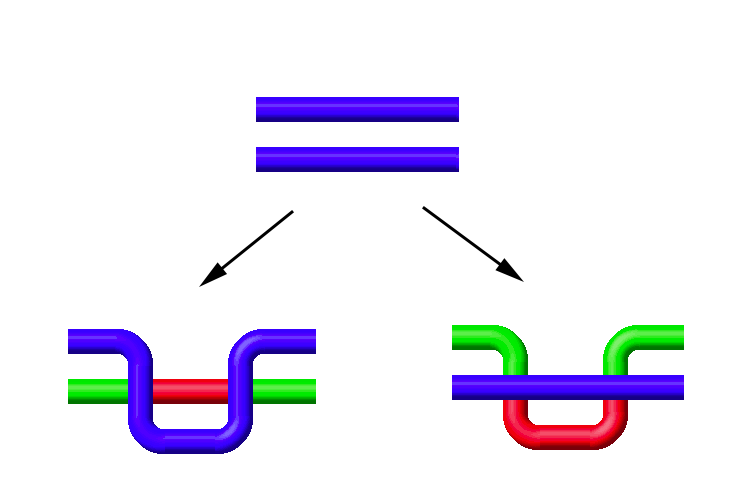 Type II Reidemeister Move